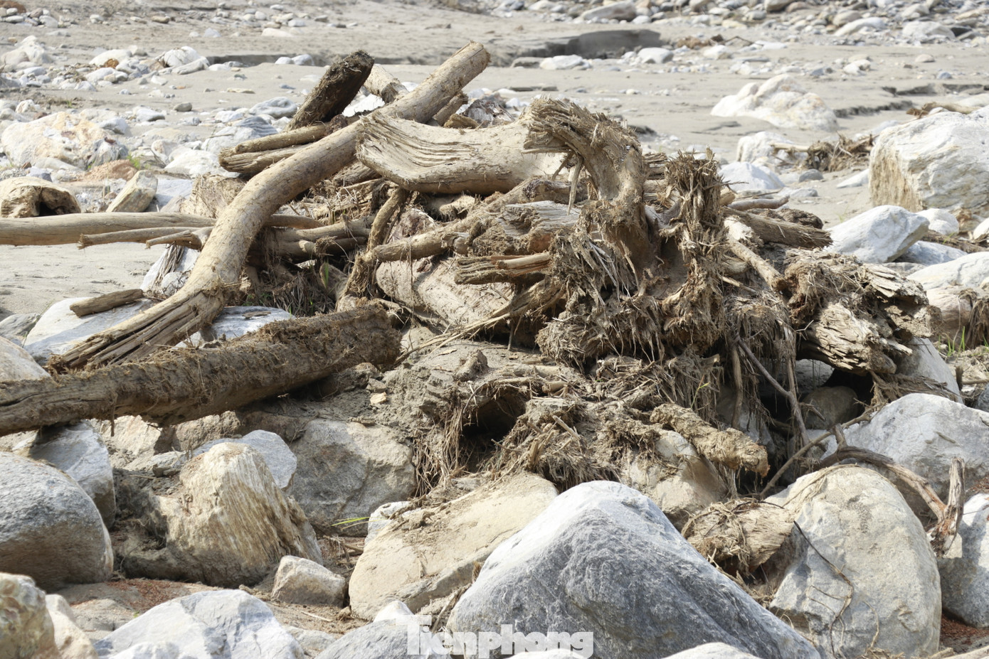 Chị Tẩn Thu Phương (ở thôn Tùng Chỉn 3, xã Trịnh Tường, huyện Bát Xát) cho biết, mưa lớn những ngày tháng 9 gây ra lũ quét bất ngờ từ trên núi, đá không biết từ đâu tràn xuống theo dòng suối đánh sập nhà cửa, vùi lấp ruộng vườn không canh tác được nữa.