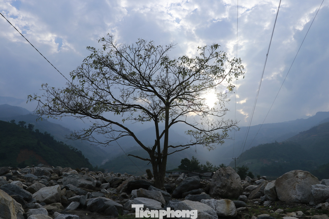 Tại cuộc họp thường kỳ tháng 11 với các Sở, ngành, địa phương, sau khi tiếp thu các ý kiến, ông Trịnh Xuân Trường, Chủ tịch UBND tỉnh Lào Cai nhất trí phương án chi hỗ trợ 20 triệu đồng/ha đối với những diện tích đất lúa không thể khôi phục.