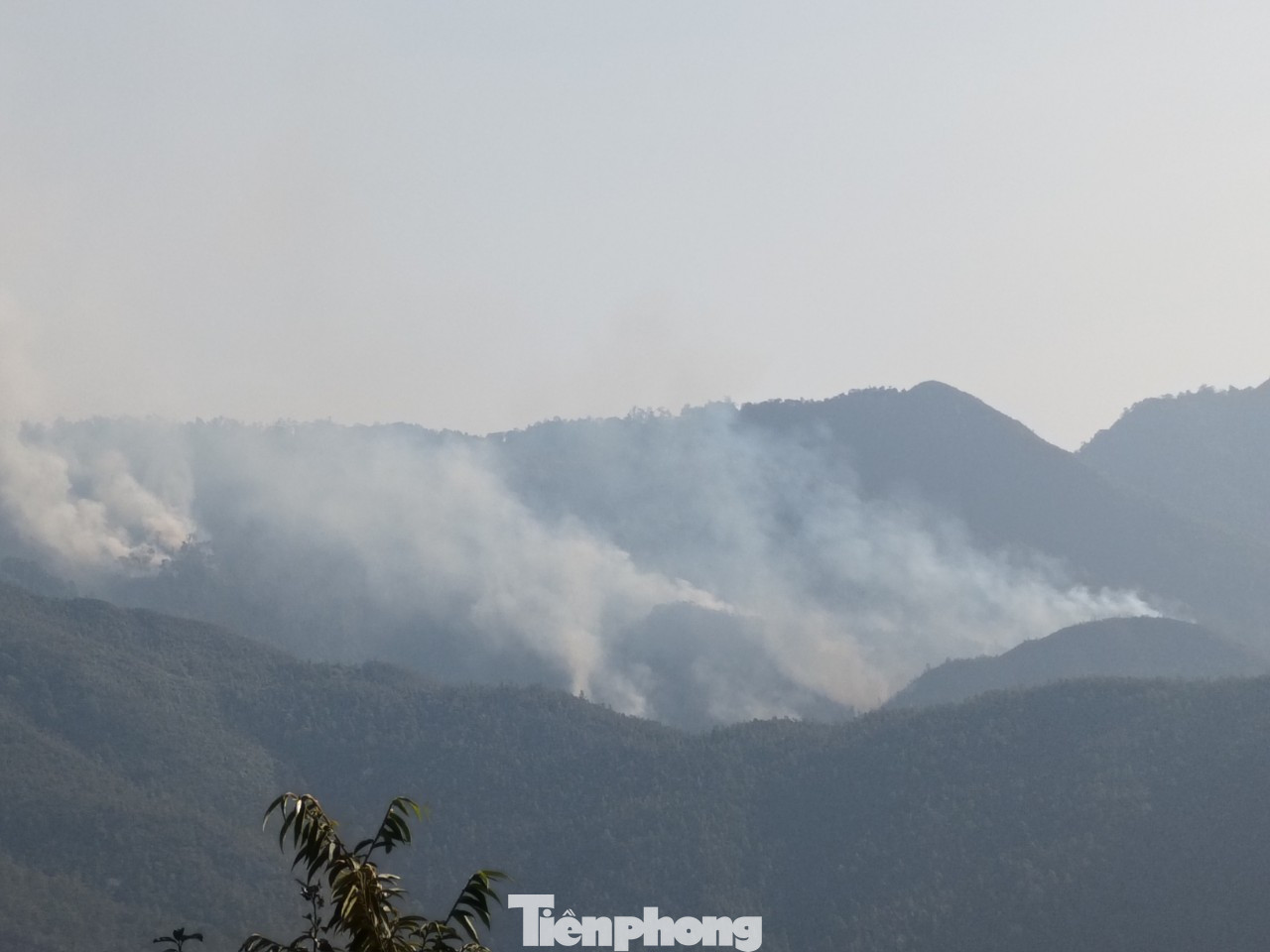 Vụ cháy bùng phát vào khoảng 13h30 ngày 25/3. Vụ cháy bùng phát vào khoảng 13h30 ngày 25/3.