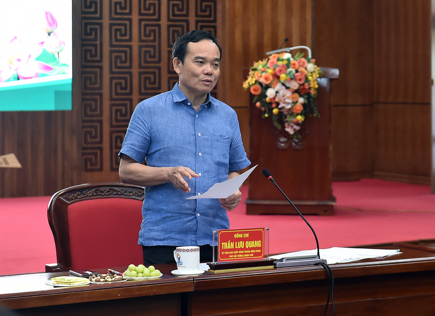 Phó Thủ tướng Chính phủ Trần Lưu Quang.