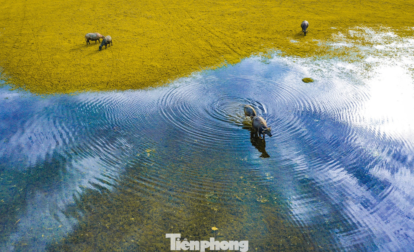 Ngoài ra, bảo vệ và phát huy giá trị mặt nước hồ Thác Bà, hệ thống các đảo trong lòng hồ, các hang động tự nhiên, cảnh quan ruộng bậc thang đặc trưng; các làng, bản dân tộc truyền thống và điểm danh thắng hấp dẫn trong Khu du lịch quốc gia hồ Thác Bà.