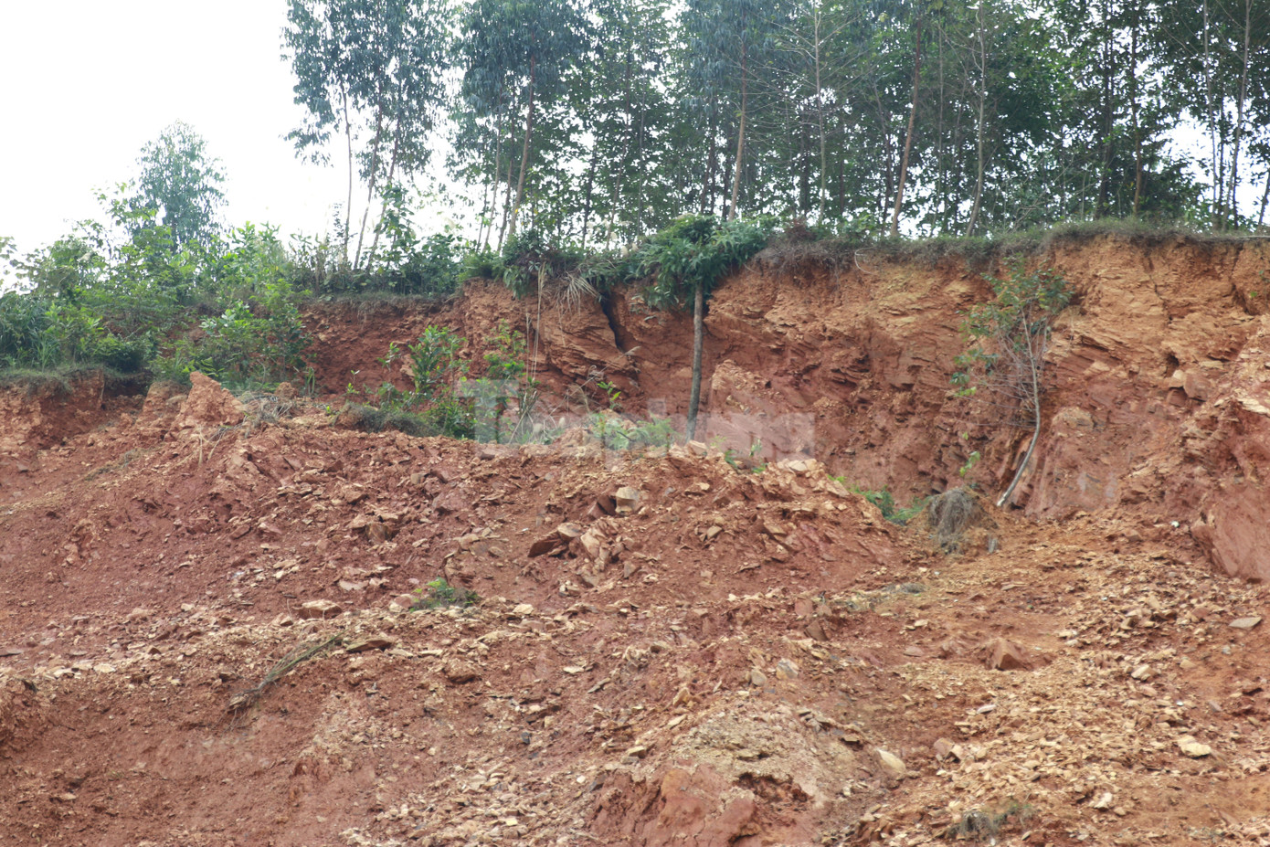 Liên quan đến vấn đề này, mới đây đoàn công tác do ông Nguyễn Thế Phước - Phó Chủ tịch tỉnh Yên Bái làm trưởng đoàn đã trực tiếp đến kiểm tra thực. Qua kiểm tra, lãnh đạo tỉnh Yên Bái đề nghị huyện Yên Bình di dời khẩn cấp các hộ dân ra khỏi khu vực nguy hiểm có nguy cơ sạt lở để đảm bảo an toàn.