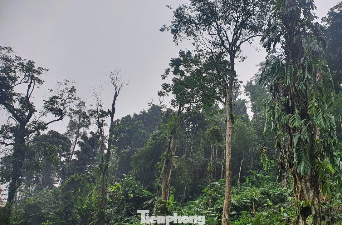 Mới đây, Bộ Văn hóa - Thể thao và Du lịch đưa tập quán văn hóa và tín ngưỡng lễ cúng rừng của người Mông ở xã Nà Hẩu được công nhận là Di sản văn hoá phi vật thể quốc gia.