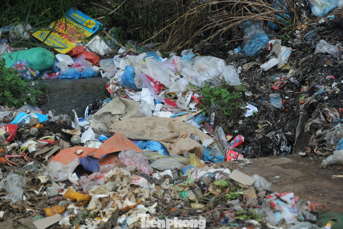 Khu vực bờ kè dọc suối Ngòi Phà rác thải cũng ngập ngụa từ trên bờ đến xuống suối, gây ô nhiễm môi trường, mất mỹ quan đô thị nghiêm trọng, mùi hôi thối bốc lên khu vực chợ Cát Thịnh cách đó chưa đầy 100m khiến nhiều người lo sợ.