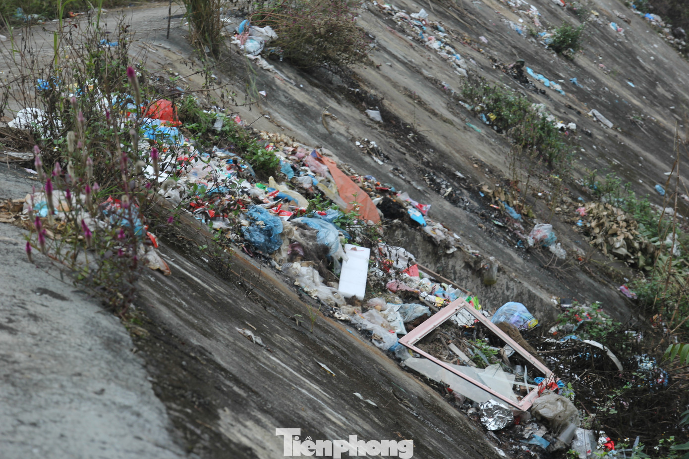 Khu vực bờ kè dọc suối Ngòi Phà rác thải cũng ngập ngụa từ trên bờ đến xuống suối, gây ô nhiễm môi trường, mất mỹ quan đô thị nghiêm trọng, mùi hôi thối bốc lên khu vực chợ Cát Thịnh cách đó chưa đầy 100m khiến nhiều người lo sợ.