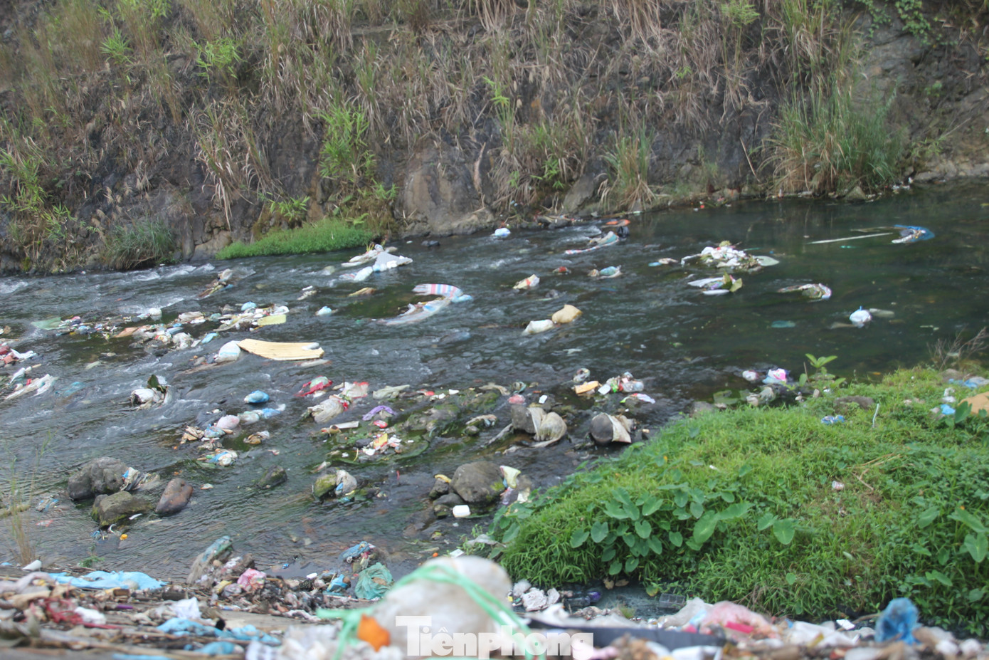 Trong khi đó, trao đổi với Tiền Phong, ông Nguyễn Trọng Lực, Trưởng phòng Tài nguyên Môi trường huyện Văn Chấn cho biết, khu vực xã Cát Thịnh và Thị trấn Nông trường Trần Phú chưa có đơn vị thu gom, xử lý rác thải. Các xã chủ yếu tuyên truyền người dân xử lý rác thải tại nhà. Việc người dân vứt rác thải bừa bãi xuống suối gây ô nhiễm môi trường, đơn vị sẽ làm việc với chính quyền các xã để tăng cường công tác tuyên truyền đến người dân.