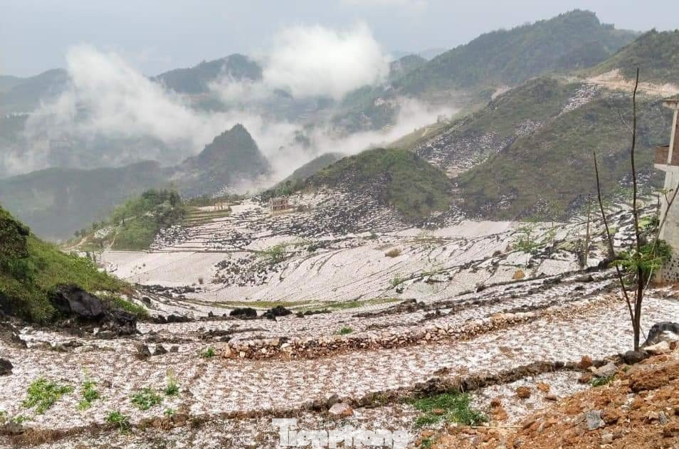 Thiệt hại về nhà cửa và hoa màu do trận mưa đá trên diện rộng gây ra đang được cơ quan chức năng thống kê.