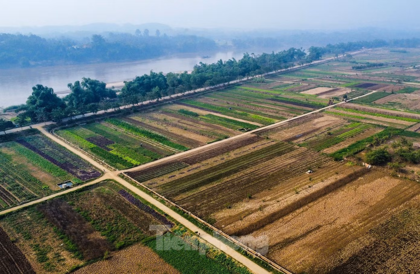 Gượng dậy sau thiên tai, đến nay, nhiều diện tích đất sản xuất nông nghiệp đã được người dân cải tạo để trồng cây vụ đông.