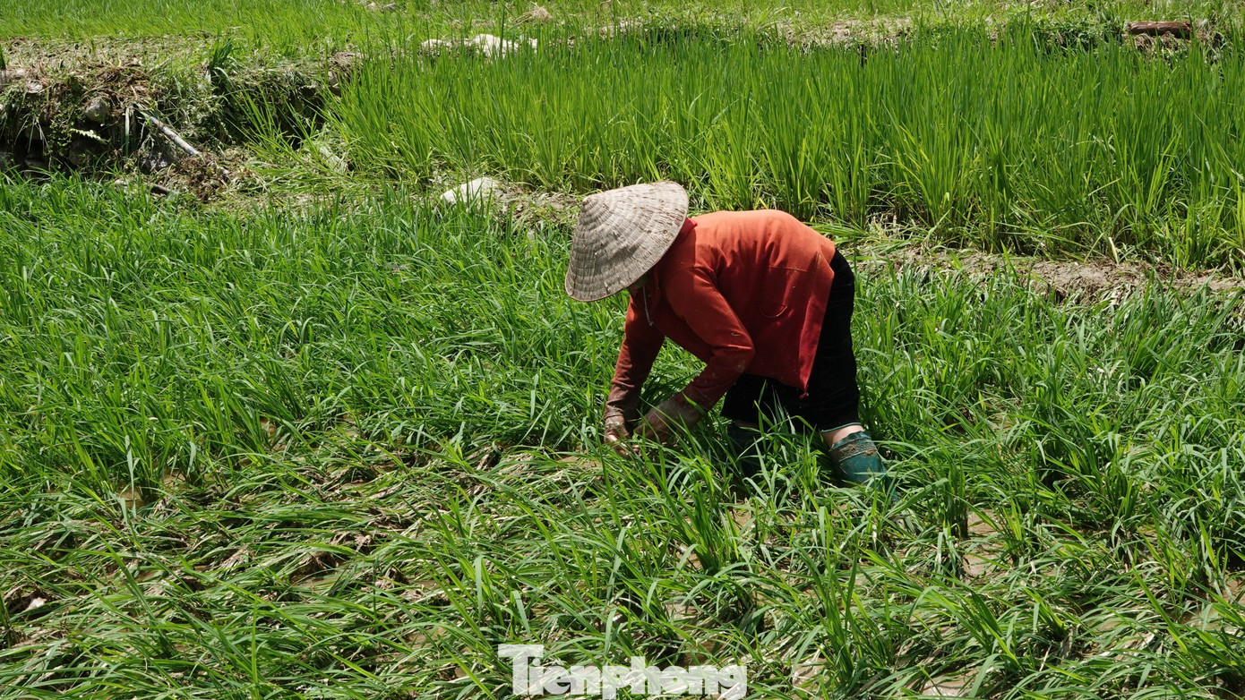 Theo báo cáo của Ban Chỉ huy phòng, chống thiên tai - tìm kiếm cứu nạn huyện Văn Yên, mưa lớn kéo dài từ đêm 20 đến sáng 21/7, đã khiến 3 hộ gia đình bị ảnh hưởng do sạt lở taluy vào nhà.