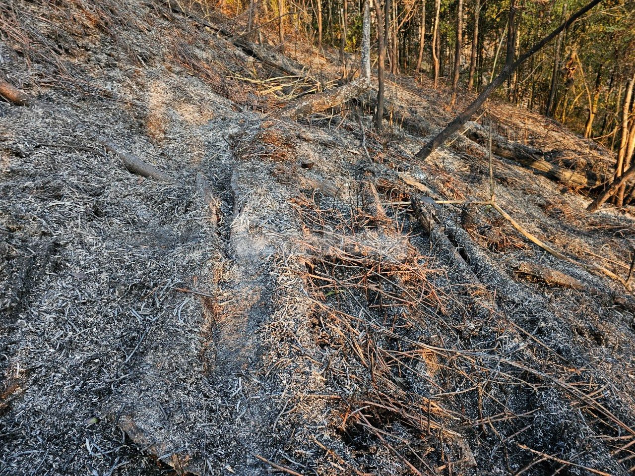 Đến khoảng 8h30 cơ bản khống chế được các điểm cháy.