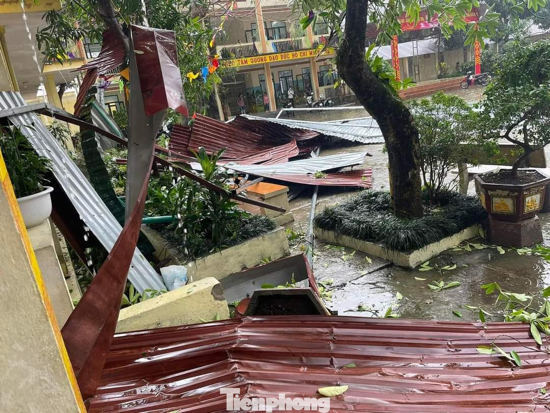 Cây xanh bị gãy đổ.