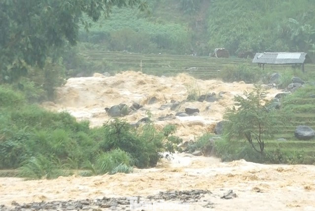 Mưa lớn đã làm 610,48 ha cây trồng bị thiệt hại, ảnh hưởng; trong đó, có 533,01 ha lúa; 57,46 ha ngô, rau màu; 21 ha cây lâm nghiệp; trên 160 gia cầm, gia súc chết.
