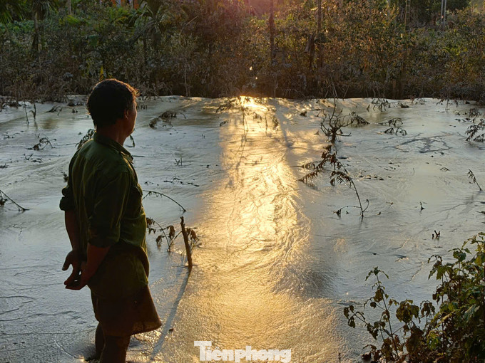 Ông Hoàng Tùng (ở thôn Phúc Đình, xã Việt Thành) vừa nhìn những thửa ruộng bị chìm ngập trong bùn đất của gia đình vừa nặng nề nói, nhà có hơn một mẫu dâu tằm đang xanh tốt, vụ tằm thu này mới nuôi được một lứa, vừa bắt đầu nuôi lứa thứ 2 được 3 hôm thì lũ tràn về chìm hết các ruộng dâu. Cả giàn khay nuôi tằm nay phải bỏ làm thức ăn cho đàn gà.