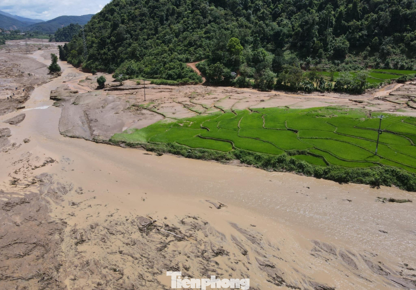 Ngày 26/7, theo ghi nhận của phóng viên, ngay từ sáng sớm, công tác tìm kiếm nạn nhân bị mất tích trong vụ sạt lở đất, lũ quét tại xã Mường Pồn, huyện Điện Biên đã được các lực lượng chức năng tích cực triển khai trong thời tiết nắng ráo.