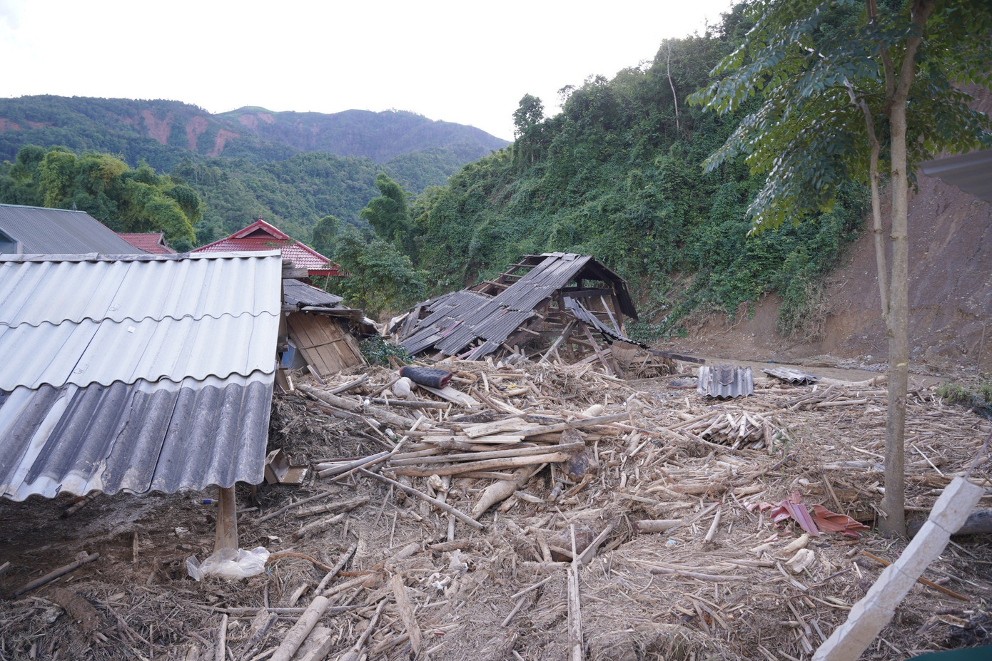 Trao đổi với Tiền Phong, chị Lò Thị Lún (Bí thư chi bộ bản Tin Tốc, xã Mường Pồn, huyện Điện Biên) cho biết, "khoảng 3h sáng 25/7, lũ ập tới bản, chúng tôi hô hoán người dân chạy thoát thân, không mang theo được đồ đạc tài sản gì". Trao đổi với Tiền Phong, chị Lò Thị Lún (Bí thư chi bộ bản Tin Tốc, xã Mường Pồn, huyện Điện Biên) cho biết, "khoảng 3h sáng 25/7, lũ ập tới bản, chúng tôi hô hoán người dân chạy thoát thân, không mang theo được đồ đạc tài sản gì".