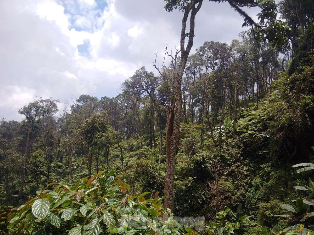 Luật tục này đã hình thành từ nhiều đời nay, được người dân duy trì như một Nghị quyết trong việc giữ rừng, bảo vệ rừng và được các thế hệ đồng bào nơi đây thực hiện, ông Sà cho biết thêm.