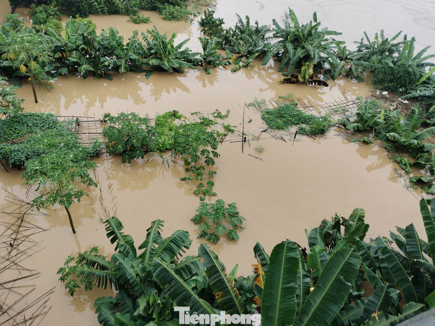 Hiện toàn tỉnh đã huy động hơn 600 người gồm bộ đội, dân quân và các lực lượng khác tham gia khắc phục hậu quả do thiên tai gây ra. Đồng thời, tiếp tục rà soát, di dời các hộ dân ở những khu vực có nguy cơ cao sạt lở đất, lũ quét đến nơi an toàn.