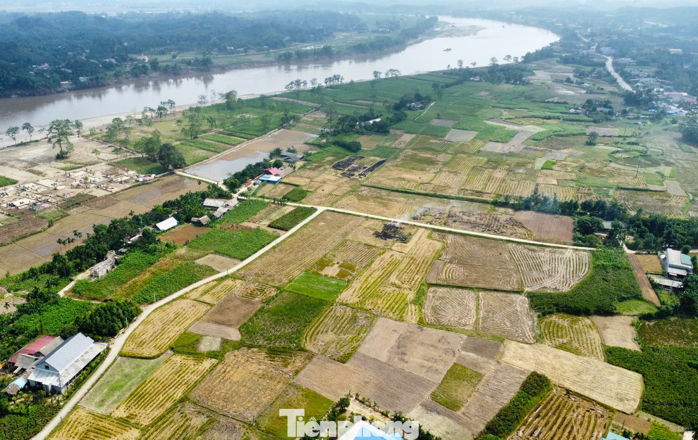 Ông Nguyễn Văn Huy - Chi cục trưởng Chi cục Trồng trọt và Bảo vệ thực vật tỉnh Yên Bái - cho biết, hiện màu xanh đã quay trở lại trên những cánh đồng, đặc biệt là các vùng chuyên canh một số cây chủ lực như cây dâu, cây bưởi, cây dong riềng...