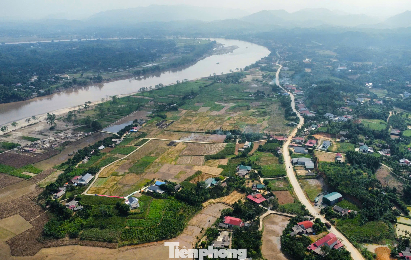 Hơn 1 tháng trước, cả cánh đồng dong riềng ở xã Quy Mông, huyện Trấn Yên đang xanh mướt một màu, những bông hoa đỏ rực, báo hiệu vụ thu hoạch sắp tới. Tuy nhiên, sau hoàn lưu cơn bão số 3, tất cả các ruộng dong riềng chết khô, gẫy đổ, bùn đất vùi lấp.