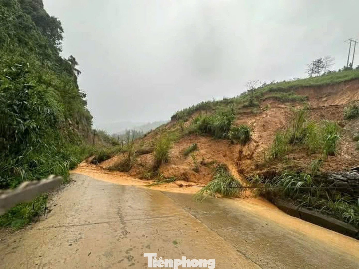 Mưa lớn cũng làm trên 21ha diện tích ngô và lúa bị ngập nước và gãy đổ; làm trôi 1 cầu phao vào thôn Đá đen xã An Lương gây chia cắt tạm thời 30 hộ dân. Mưa lớn cũng làm gãy đổ nhiều cây xanh, gây sạt lở tại 1 số tuyến đường, và gây mất điện ở một số thôn bản của xã Nậm Mười.