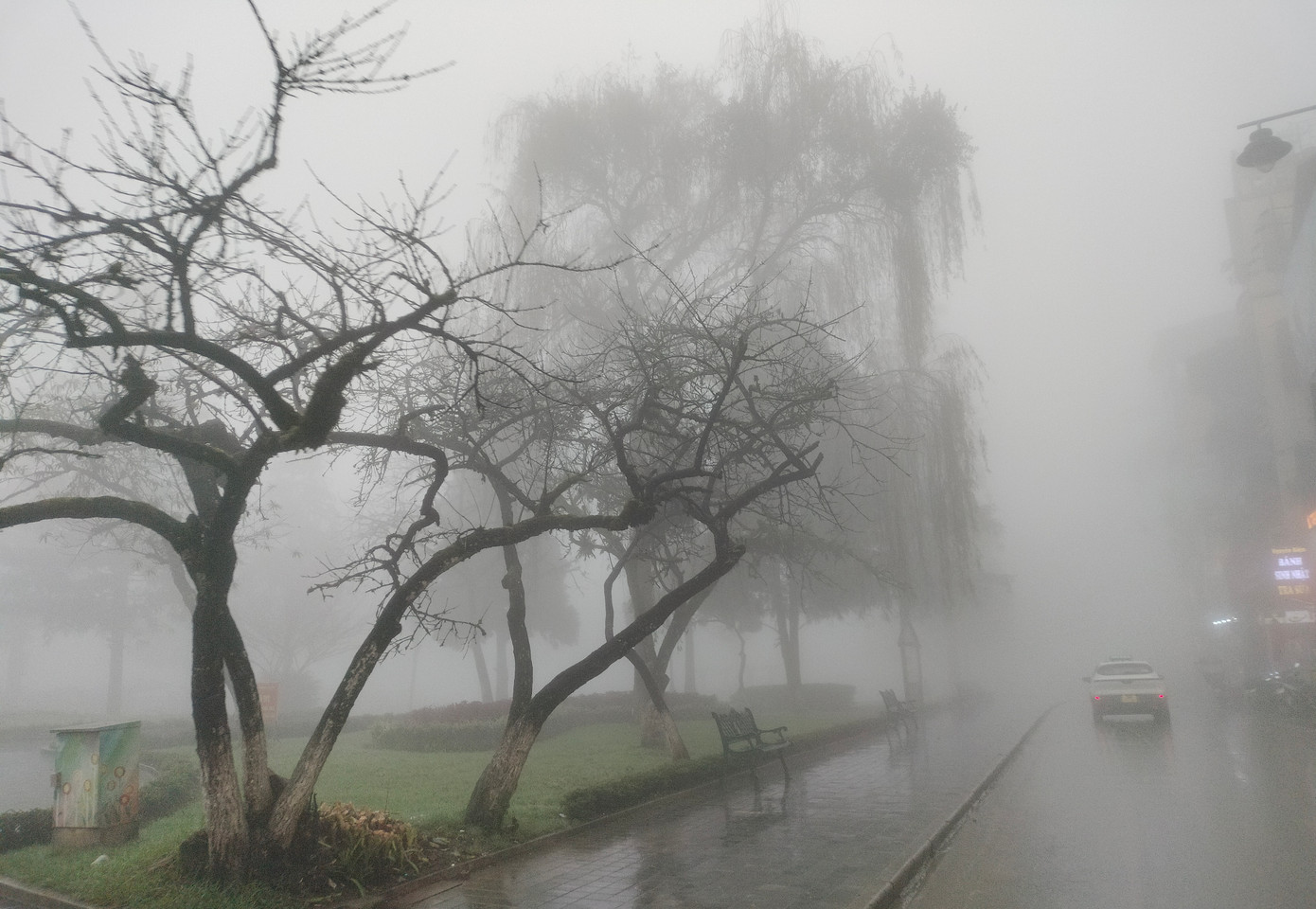 Xuyên suốt dịp Tết Nguyên đán diễn ra các hoạt động đặc sắc hứa hẹn thu hút đông đảo du khách đến tham quan, trải nghiệm.