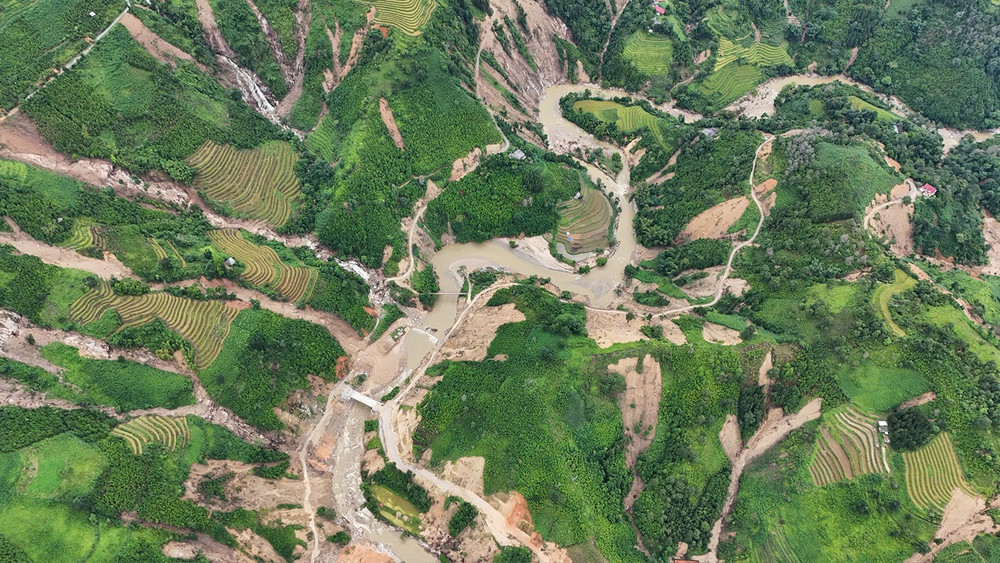 Bão số 3 khiến hơn 1.000 hecta rừng bị thiệt hại.