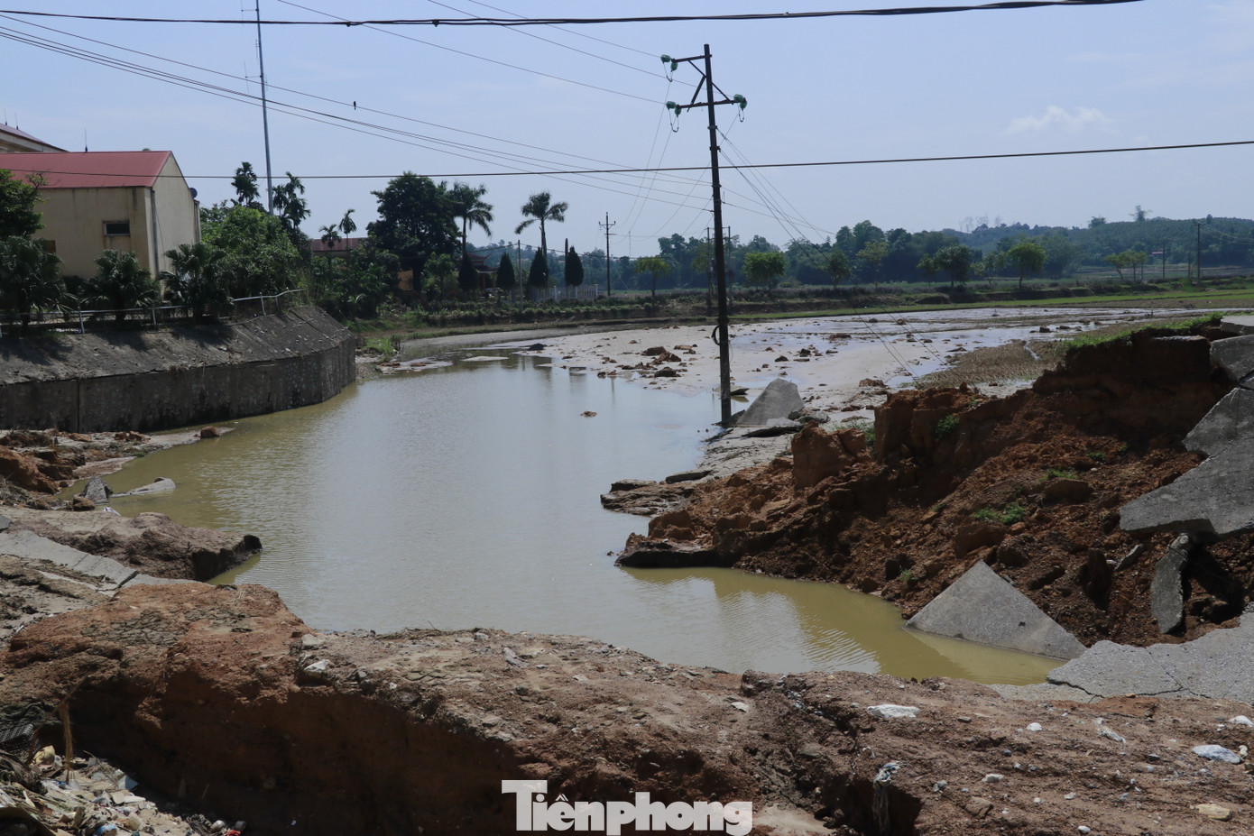 Theo ông Tùng, do đê sông Hồng vỡ, không chỉ dâu tằm mà toàn bộ hơn 8 sào ao nuôi cá của gia đình cũng bị tràn vỡ, cá theo nước lũ ra sông hết. Chưa năm nào lũ lại dâng cao và chảy xiết như năm nay. Bây giờ chẳng còn gì cả, phải xem ở đâu có việc gì hay ai thuê mướn thì đi làm thuê để trang trải.