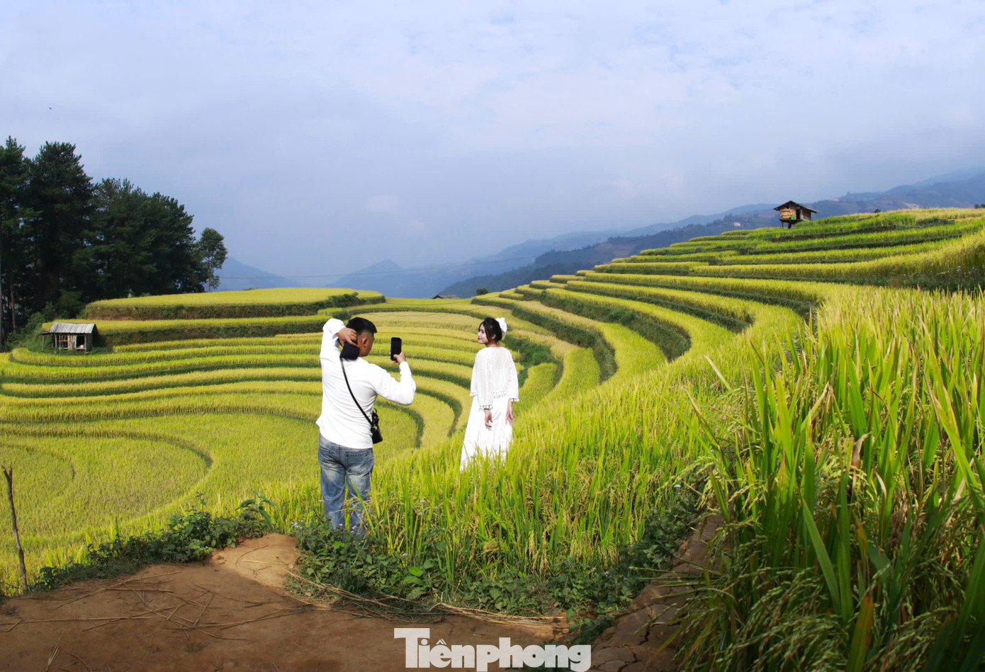 Trong ánh nắng rực rỡ, không gian hùng vỹ, trữ tình, các bạn trẻ say mê chụp lại khoảnh khắc tuyệt đẹp của mùa lúa chín.