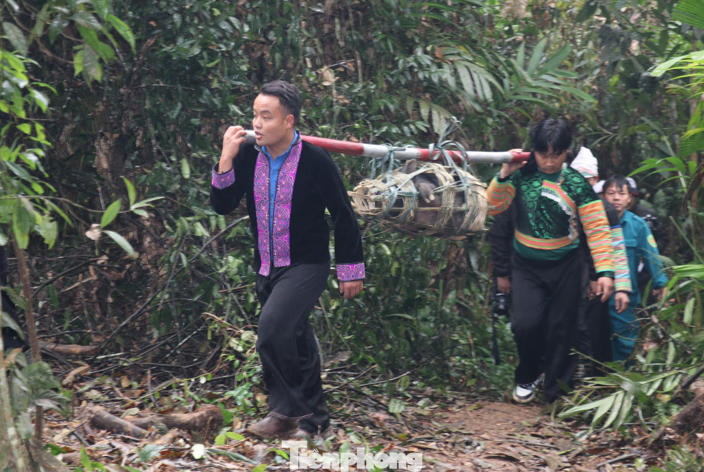 Ngày 9/3 (tức ngày 29 tháng Giêng năm Giáp Thìn), tại những cánh "rừng thiêng" của 3 thôn Bản Tát, Ba Khuy, Trung Tâm (xã Nà Hẩu, huyện Văn Yên, tỉnh Yên Bái) đồng loạt diễn ra Lễ cúng rừng. Đây là nghi lễ truyền thống lớn nhất và có ý nghĩa quan trọng nhất trong năm đối với đồng bào Mông nơi đây.