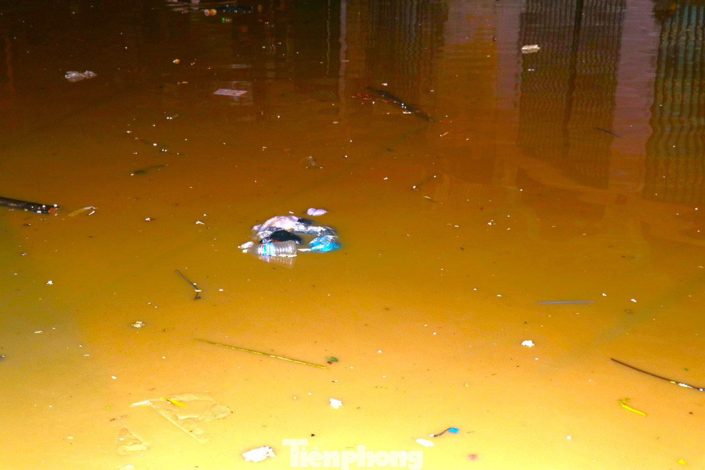 Chị Nguyễn Thị Hương (ở đường Thanh Niên, phường Hồng Hà) cho biết, nhà cửa bị ngập sau đợt bão số 3 vừa qua (đợt ngập lụt lịch sử từ ngày 8/9 đến 11/9) còn chưa dọn dẹp xong, giờ lại ngập tiếp.