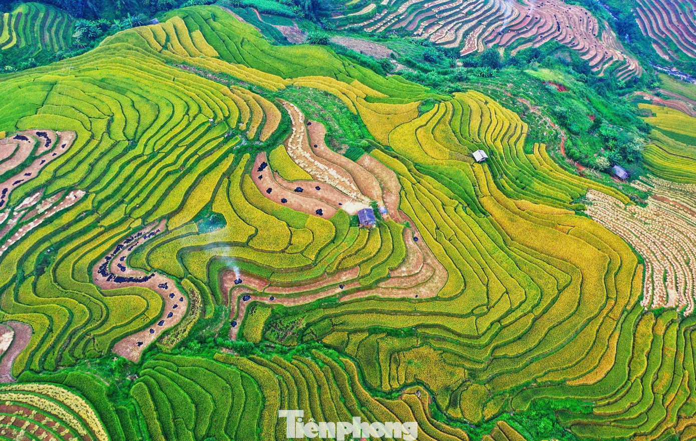 Những thửa ruộng nối tiếp, xếp chồng lên nhau, đều tăm tắp, tạo thành những nấc thang khổng lồ...