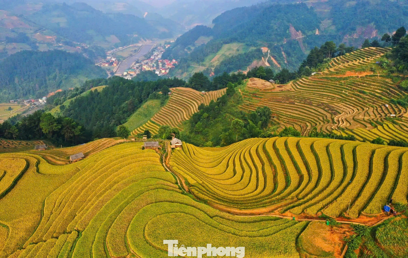 Theo lãnh đạo huyện Mù Cang Chải, năm nay do ảnh hưởng của cơn bão số 3, lượng du khách đến du lịch giảm so với cùng kỳ. Tuy nhiên, những ngày đầu tháng 10, dấu hiệu phục hồi khi số lượng du khách tăng lên đáng kể.