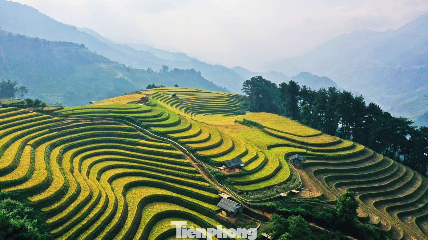 Theo lãnh đạo huyện Mù Cang Chải, năm nay do ảnh hưởng của cơn bão số 3, lượng du khách đến du lịch giảm so với cùng kỳ. Tuy nhiên, những ngày đầu tháng 10, dấu hiệu phục hồi khi số lượng du khách tăng lên đáng kể.