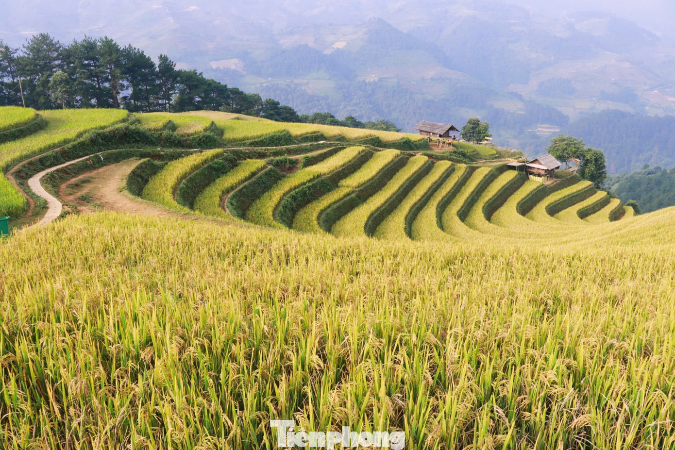 Các địa điểm thu hút chủ yếu là khu vực Đồi mâm xôi (xã La Pán Tẩn), đồi võng lúa, móng ngựa (xã Mồ Dề), thung lũng ruộng bậc thang Lao Chải, xã Lao Chải...