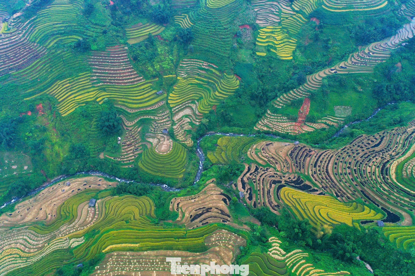 ... trở thành biểu tượng văn hóa của vùng núi phía Bắc, thu hút sự chú ý của du khách.