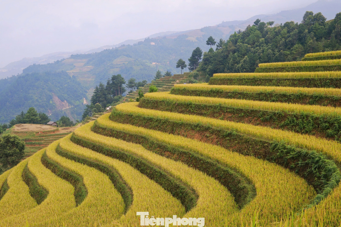 Các địa điểm thu hút chủ yếu là khu vực Đồi mâm xôi (xã La Pán Tẩn), đồi võng lúa, móng ngựa (xã Mồ Dề), thung lũng ruộng bậc thang Lao Chải, xã Lao Chải...