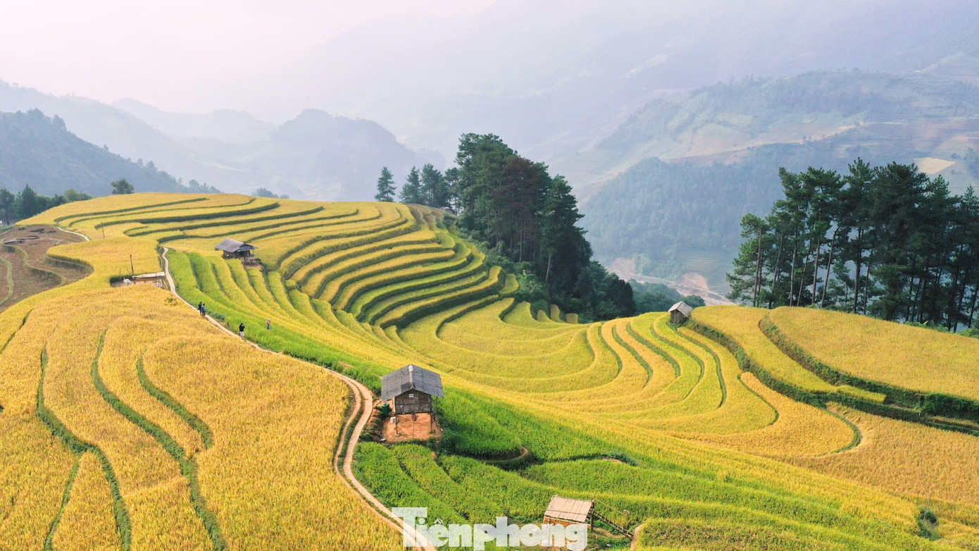 Đồi võng lúa, móng ngựa, xã Mồ Dề thuộc danh thắng ruộng bậc thang Mù Cang Chải, là điểm đến hấp dẫn của khách của du lịch trong mùa lúa chín vào tháng 9 và tháng 10.