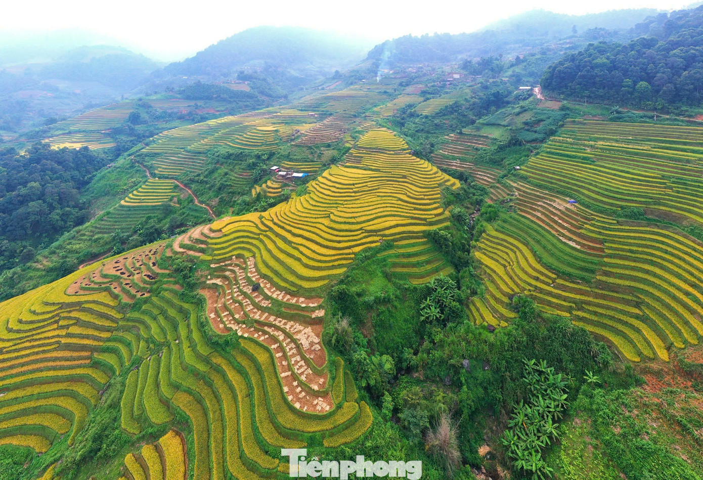 Trao đổi với Tiền Phong, chị Nguyễn Thị Thy (ở Hạ Long, Quảng Ninh) cho biết, chị thấy phong cảnh thực sự đẹp, đẹp hơn rất nhiều trong phim ảnh.