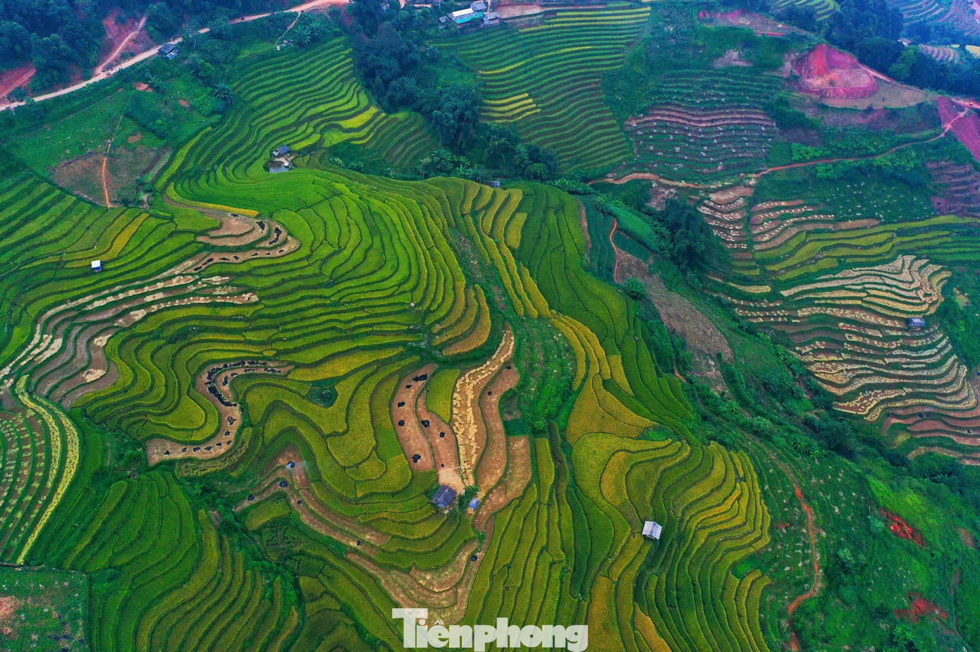 Những thửa ruộng nối tiếp, xếp chồng lên nhau, đều tăm tắp, tạo thành những nấc thang khổng lồ...