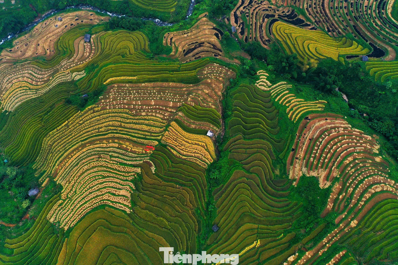 ... trở thành biểu tượng văn hóa của vùng núi phía Bắc, thu hút sự chú ý của du khách.