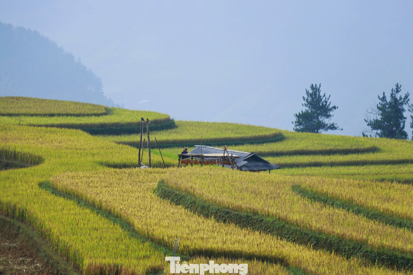 Các địa điểm thu hút chủ yếu là khu vực Đồi mâm xôi (xã La Pán Tẩn), đồi võng lúa, móng ngựa (xã Mồ Dề), thung lũng ruộng bậc thang Lao Chải, xã Lao Chải...