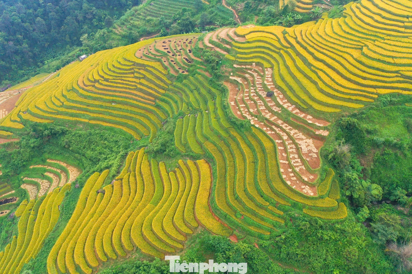 Trao đổi với Tiền Phong, chị Nguyễn Thị Thy (ở Hạ Long, Quảng Ninh) cho biết, chị thấy phong cảnh thực sự đẹp, đẹp hơn rất nhiều trong phim ảnh.