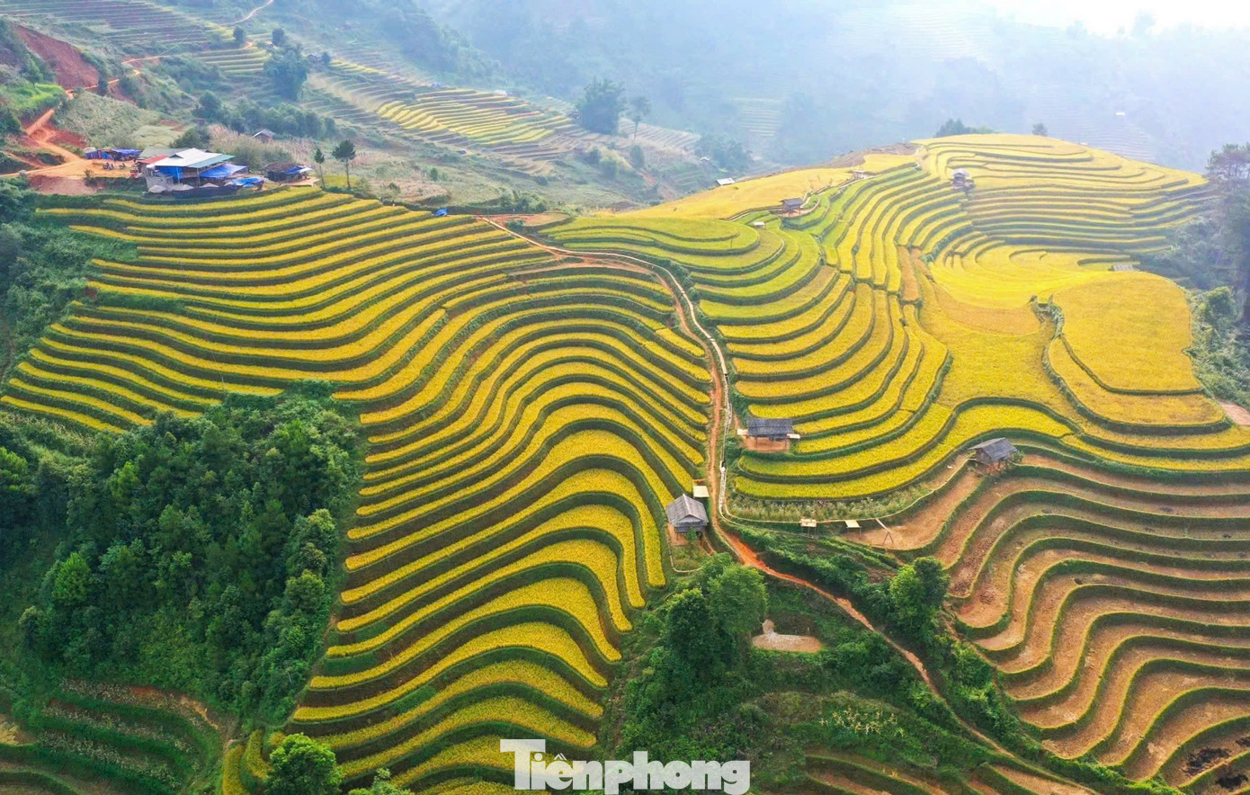 Đồi võng lúa, móng ngựa, xã Mồ Dề thuộc danh thắng ruộng bậc thang Mù Cang Chải, là điểm đến hấp dẫn của khách của du lịch trong mùa lúa chín vào tháng 9 và tháng 10.