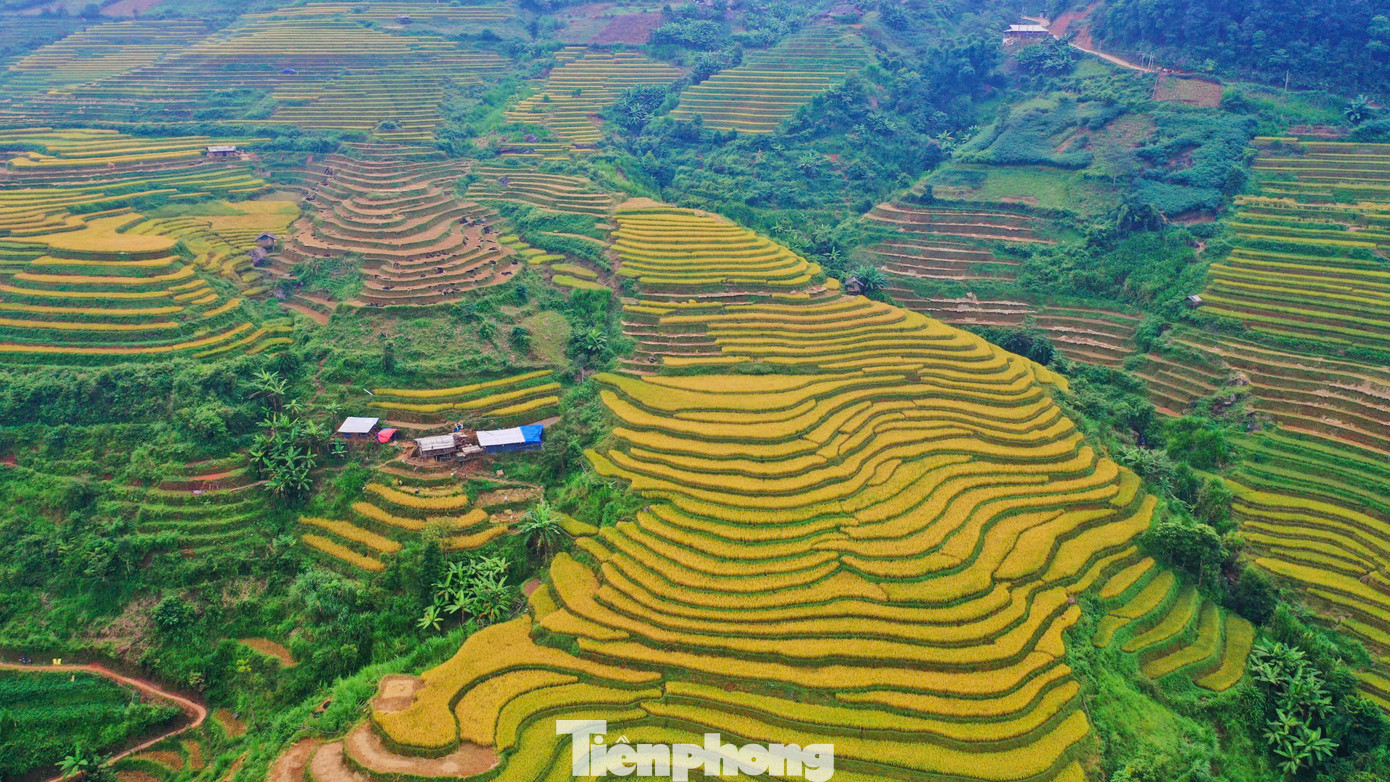 Trao đổi với Tiền Phong, chị Nguyễn Thị Thy (ở Hạ Long, Quảng Ninh) cho biết, chị thấy phong cảnh thực sự đẹp, đẹp hơn rất nhiều trong phim ảnh.