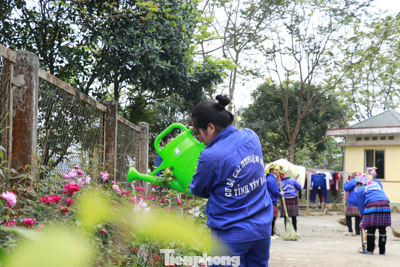 Tại cơ sở cai nghiện này, ngoài lao động trồng rau, nuôi lợn, bò, thả cá. Các học viên được đào tạo các nghề như mộc, linh kiện điện tử, may mặc... Trong đó, hoàn thành việc cai nghiện tại cơ sở, các học viên khi tái hòa nhập cộng đồng sẽ được Công ty trao chứng chỉ hoàn thành khóa học, được nhận vào làm việc tại đơn vị nếu có nhu cầu. Trao đổi với Tiền Phong, học viên T.T.L (SN 1984, ở xã La Pán Tẩn, huyện Mù Cang Chải) cho biết, không chỉ được đào tạo nghề, những người không biết viết, biết chữ khi vào đây được các cán bộ mở lớp xóa mù chữ.