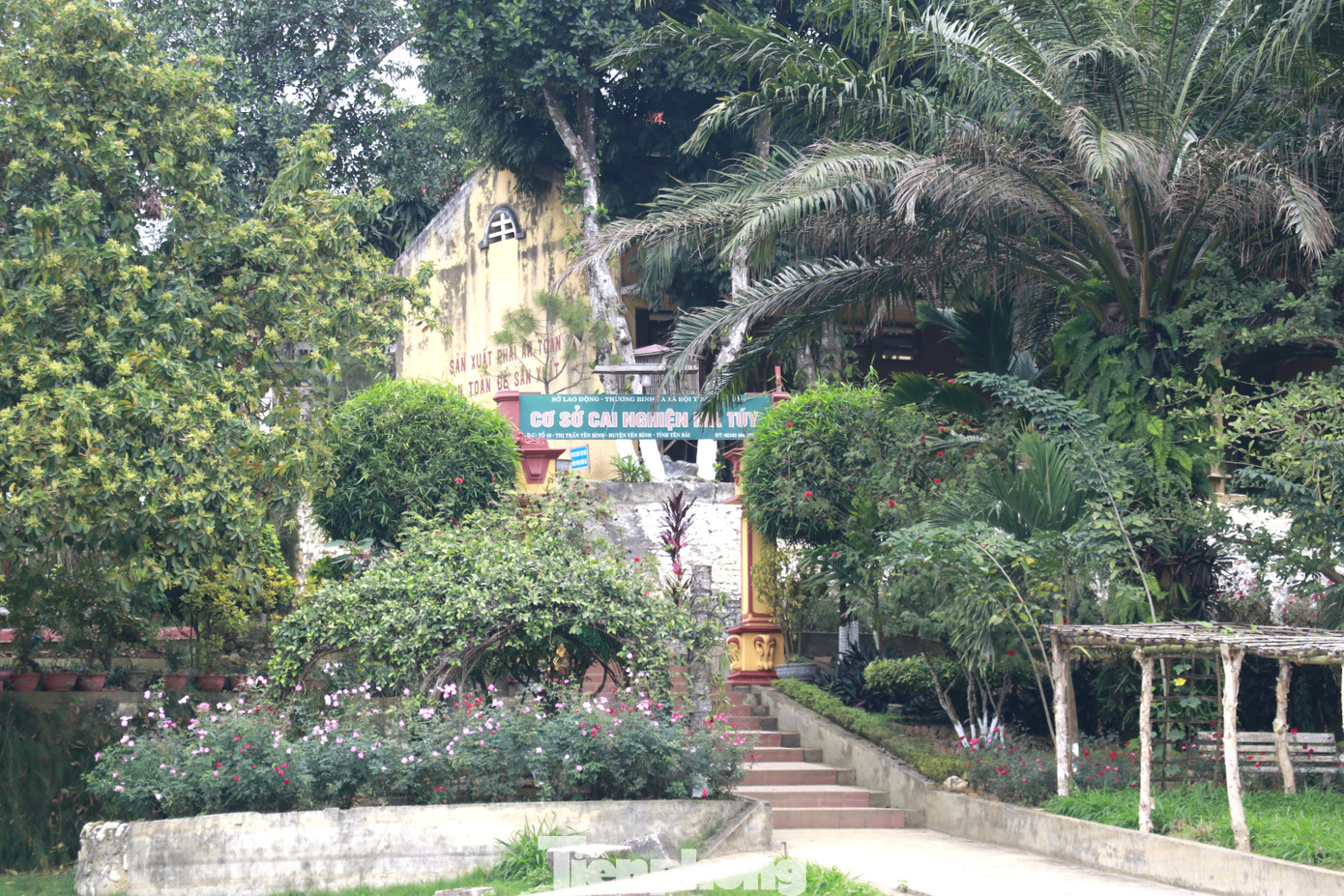 Trung tâm cai nghiện trên đảo hồ Thác Bà được thành lập năm 1992, nay có tên là Cơ sở cai nghiện ma túy tỉnh Yên Bái. Gần 800 học viên đang nỗ lực từ bỏ ma túy, mong muốn tìm lại cuộc sống của chính mình.