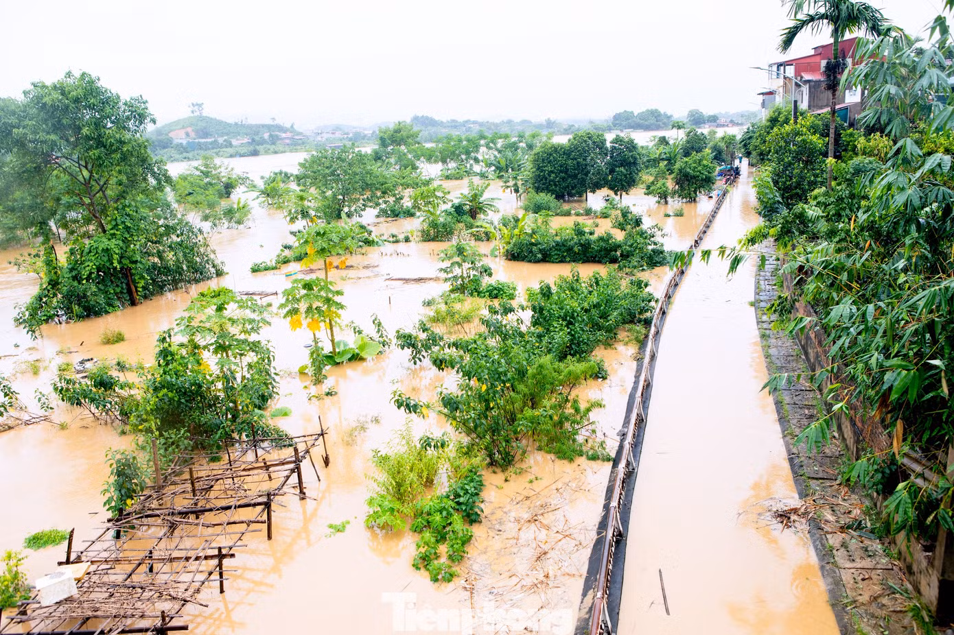 Hiện nay, trên địa bàn phường Hồng Hà, nước sông Hồng (sông Thao) đã bắt đầu tràn nhanh vào đường Thanh Niên và đường kè sông Hồng ở các khu vực trũng thuộc các tổ dân phố Hồng Tân, Hồng Phú, Hồng Thái, Hồng Thanh.