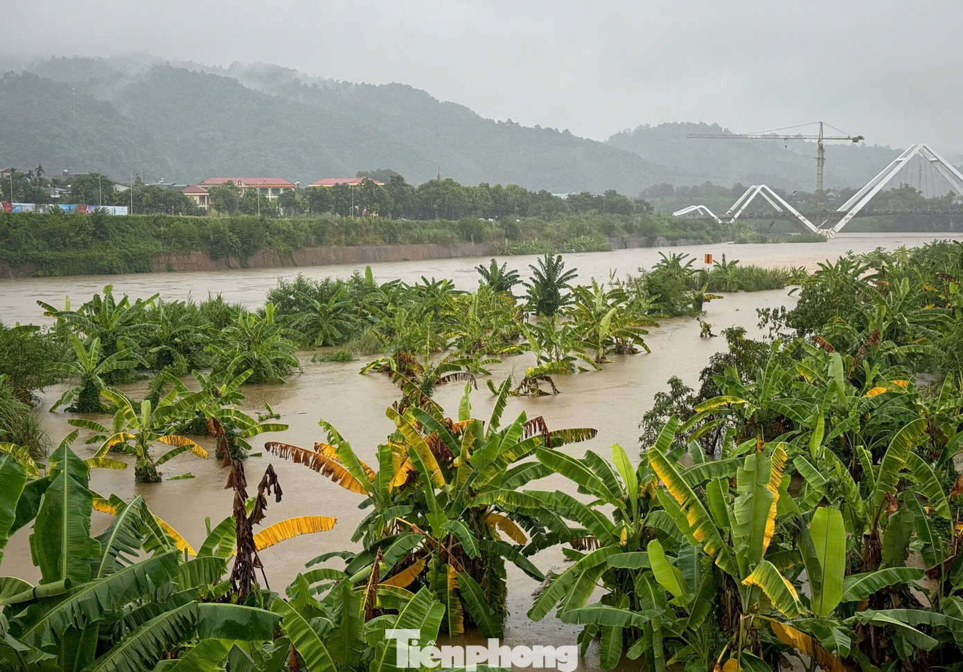 Theo thông tin từ Đài Khí tượng - Thủy văn tỉnh Lào Cai, mực nước lúc 15h ngày 8/9 trên sông Hồng tại Lào Cai là 79,49m, dưới báo động 1 là 0,51m; trên sông Hồng tại Bảo Hà là 56,83m, dưới báo động 3 là 0,17m. Theo thông tin từ Đài Khí tượng - Thủy văn tỉnh Lào Cai, mực nước lúc 15h ngày 8/9 trên sông Hồng tại Lào Cai là 79,49m, dưới báo động 1 là 0,51m; trên sông Hồng tại Bảo Hà là 56,83m, dưới báo động 3 là 0,17m.