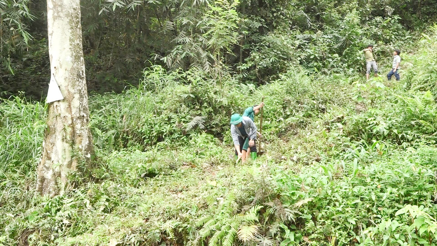 Nằm trong vùng lõi của Khu bảo tồn, xã Nà Hẩu có tổng diện tự nhiên 5.640 ha, trong đó rừng tự nhiên đặc dụng trên 4.500 ha. Nơi đây trở thành mái nhà chung của 484 hộ dân với trên 2.490 nhân khẩu, dân tộc Mông chiếm 99%.