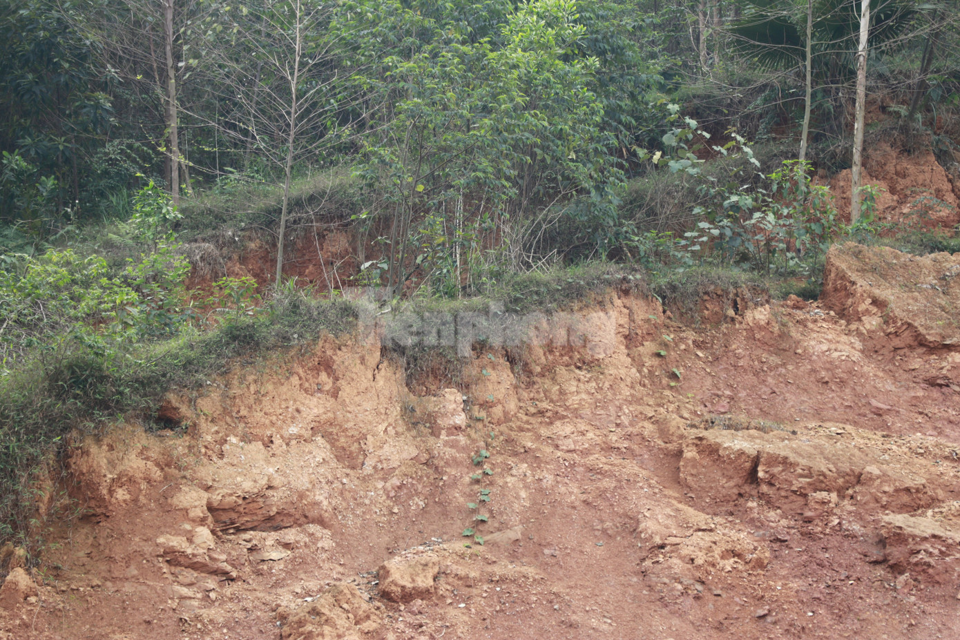 Nhiều vị trí taluy nằm sát khu dân cư có nguy cơ sạt lở bất cứ lúc nào.